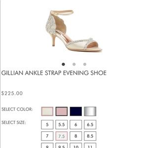 Ivory badgley Mischka shoes